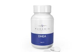 7-KETO DHEA